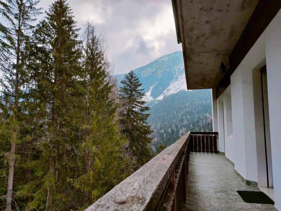 Il Terrazzo Sulle Dolomiti Apartman Cibiana Kültér fotó