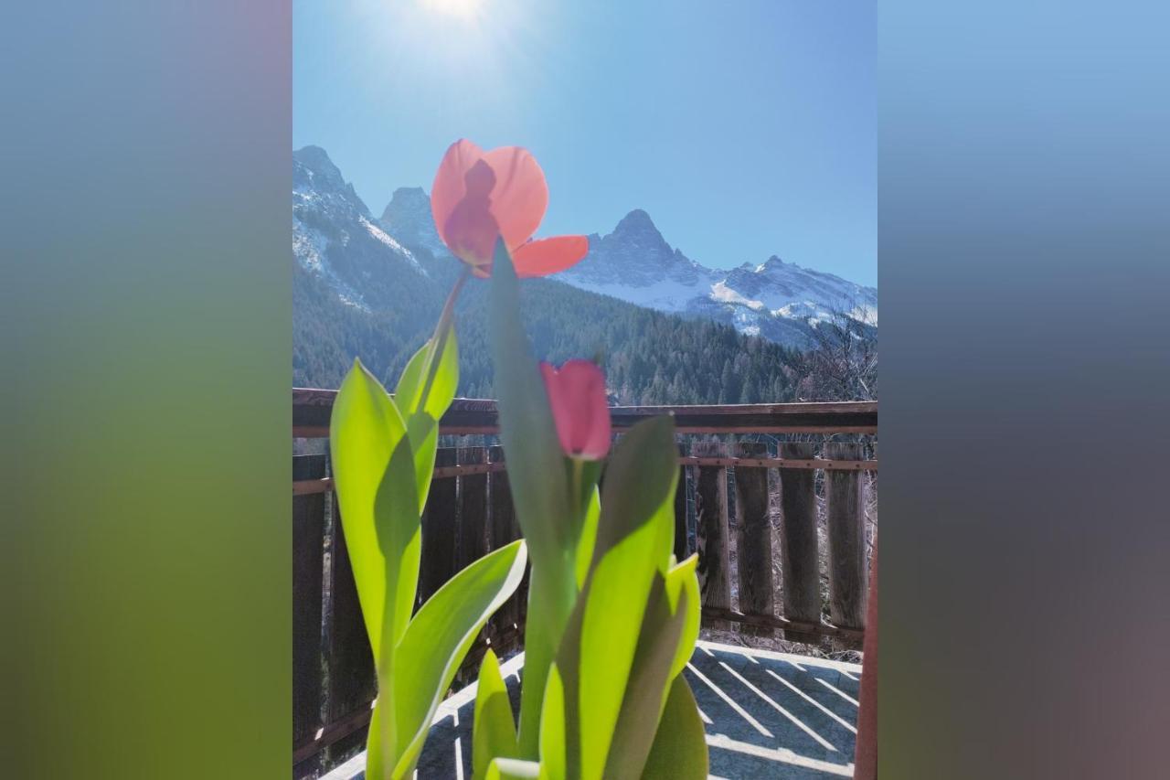 Il Terrazzo Sulle Dolomiti Apartman Cibiana Kültér fotó