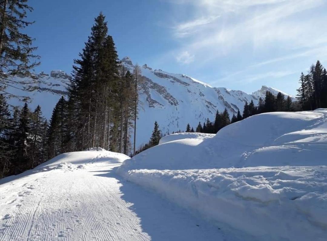 Il Terrazzo Sulle Dolomiti Apartman Cibiana Kültér fotó