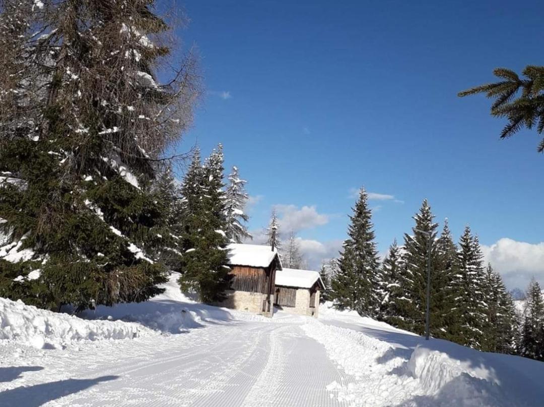 Il Terrazzo Sulle Dolomiti Apartman Cibiana Kültér fotó