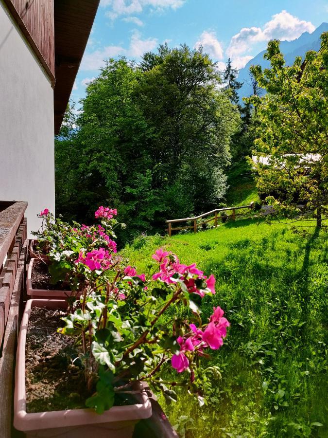 Il Terrazzo Sulle Dolomiti Apartman Cibiana Kültér fotó